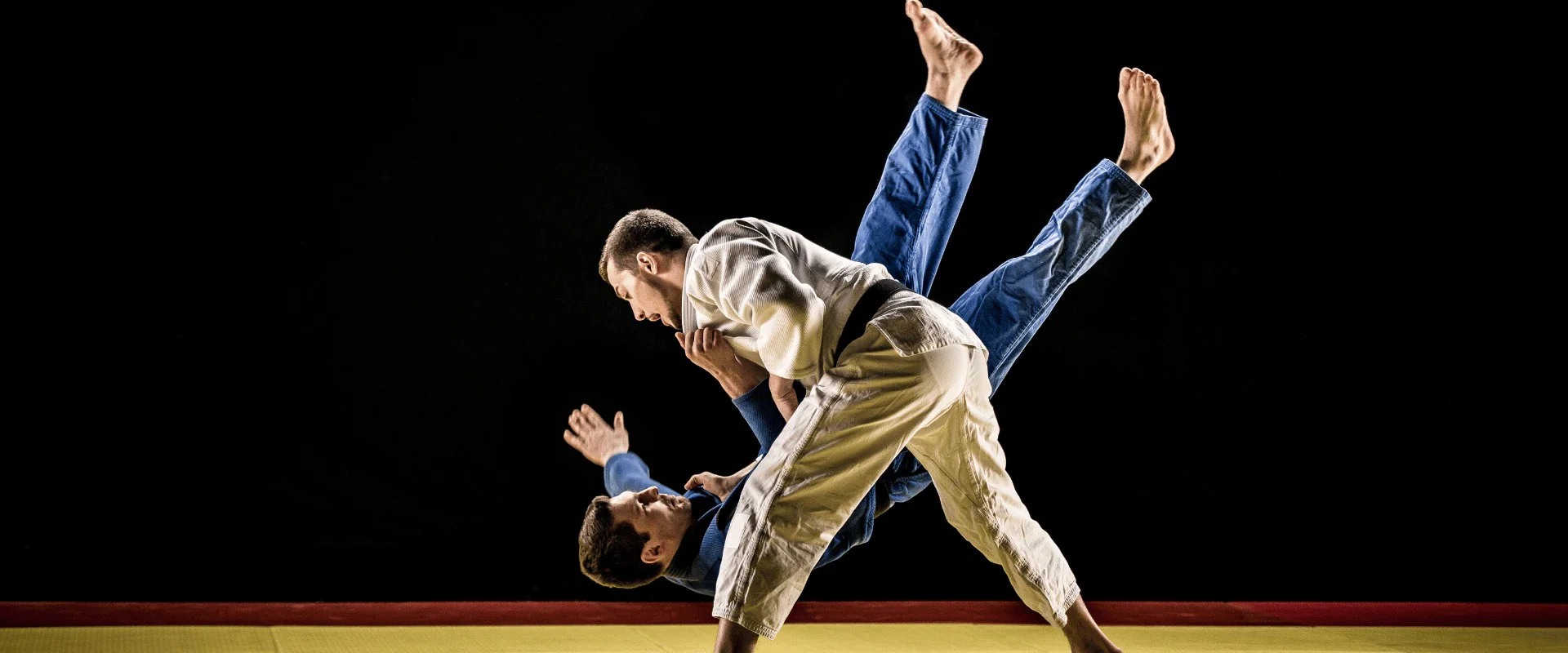 Judo / Jujitsu